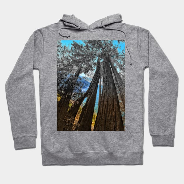 Big Sur Hoodie by Haack Art